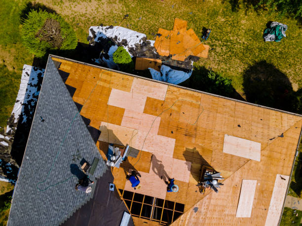 Best Roof Maintenance Services  in Suncrest, WA